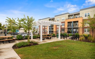New Shiloh Village